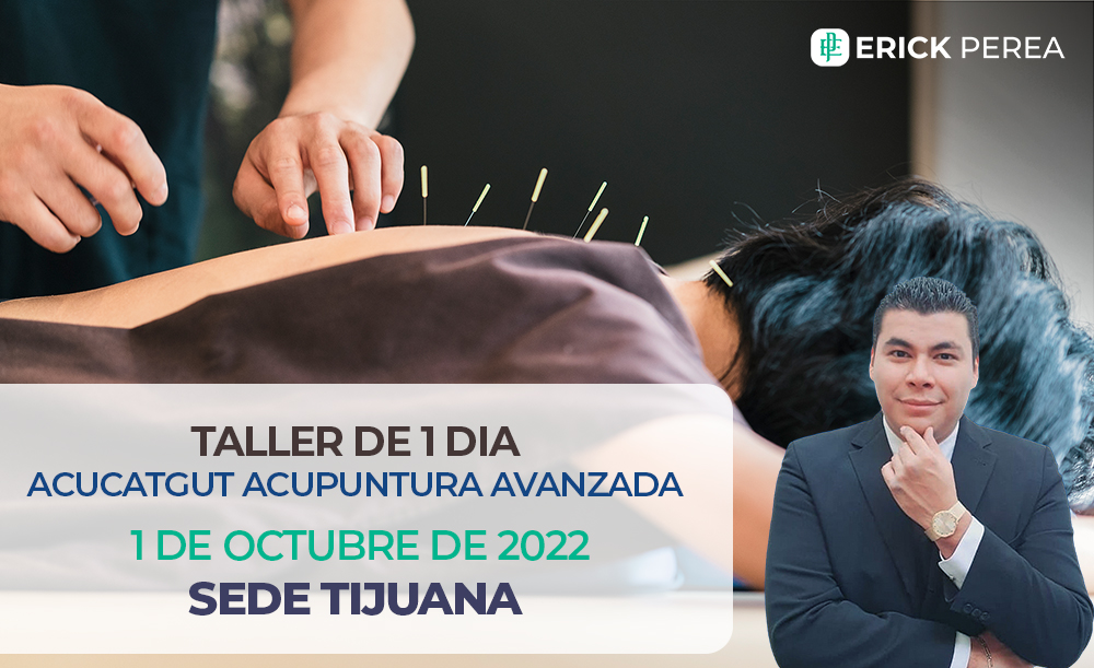 Acucatgut cupuntura avanzada