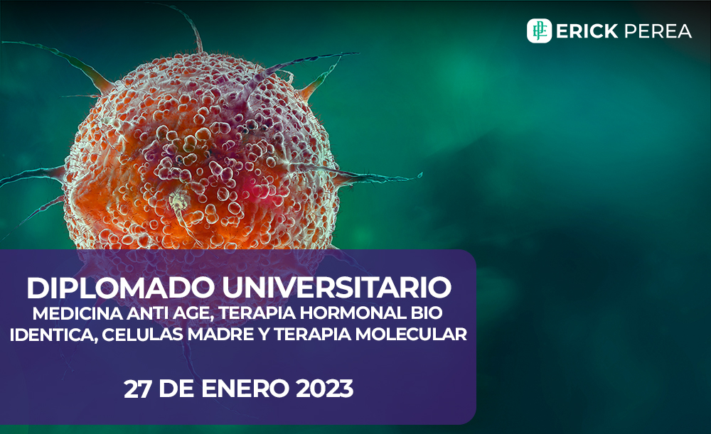 Diplomado universitario