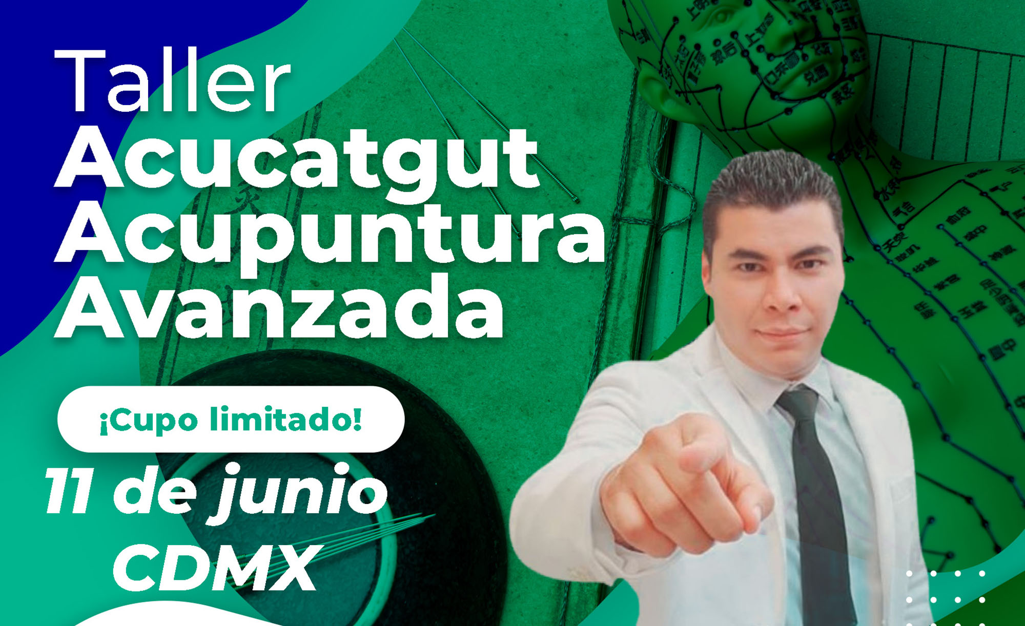 Taller Acucatgut Acupuntura Avanzada